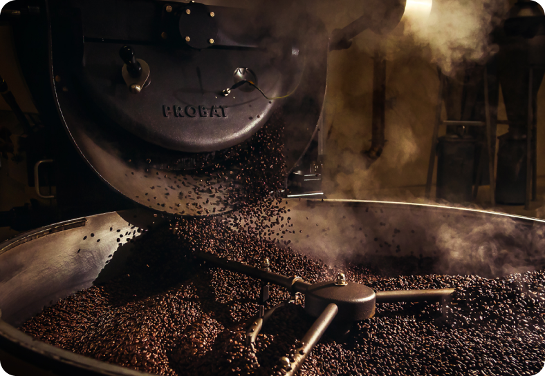 Industrial coffee roasting — beans discharged from a Probat roaster with steam.